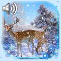 Deer Winter