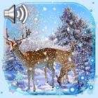 Deer Winter icône