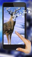 Deer Winter capture d'écran 1