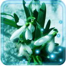 Early Spring Live Wallpapers APK