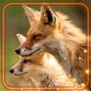 Fox Summer Forest APK