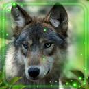 Forest Inhabitants APK
