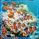Fishes Sea HD Live Wallpaper APK