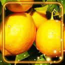 Fresh Fruits Live Wallpaper APK
