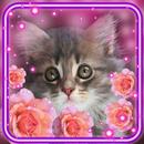 Kittiens Love Live Wallpaper APK