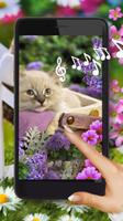 Poster Kitty Glamour