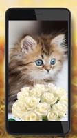 3 Schermata Kitty Glamour