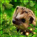 Hedgehogs Forest APK