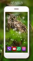 Owls HD Live Wallpaper capture d'écran 3