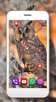 Owls HD Live Wallpaper تصوير الشاشة 2