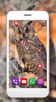 Owls HD Live Wallpaper ảnh chụp màn hình 2