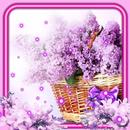 Lilac and Tulips APK