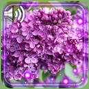 Lilac Flowers Live Wallpaper APK