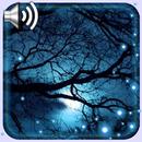 Night Moon aplikacja