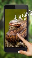 Snakes Live Wallpaper Affiche