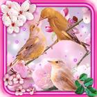 Spring Birds Live Wallpaper icône