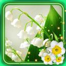 Spring Lilies of Valley APK