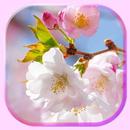 Spring Time Live Wallpaper APK