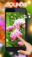 Summer Flowers Live Wallpaper স্ক্রিনশট 1