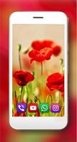 Summer Poppy lwp স্ক্রিনশট 3