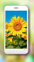 Sunflower Summer syot layar 3