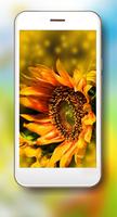 Sunflower Summer screenshot 1
