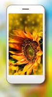 Sunflower Summer syot layar 1