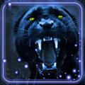 Panther Dark Sounds Wallpaper
