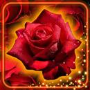 Roses Red Live Wallpaper APK