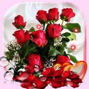 APK Red Roses Love live wallpaper