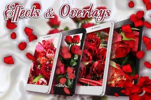 1 Schermata Red Roses Love