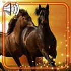 Wild Horses ikona