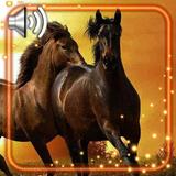 Wild Horses ไอคอน