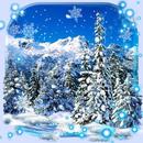 Winter Forest aplikacja