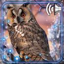 Winter Owls Live Wallpaper APK