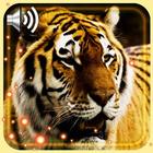 Tigers and Lions आइकन