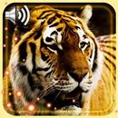 Tigers and Lions aplikacja