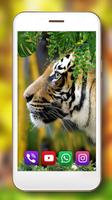 Тигры и Львы Живые Обои скриншот 3