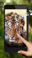 Tiger Geräusche Lebe Tapete Plakat