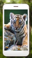 Tiger Geräusche Lebe Tapete Screenshot 1