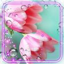 Tulips Dew Fresh APK