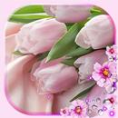 Tulips Fresh Live Wallpaper APK