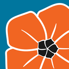 CAAEYC icon