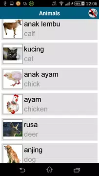 Screenshot 8 for Learn Indonesian