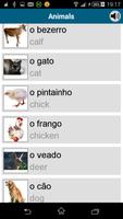 Learn Portuguese (PT) screenshot 5