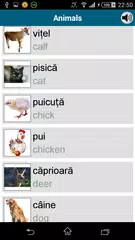 download Learn Romanian - 50 languages XAPK