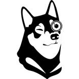 Watchdog - Surveillance Camera