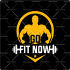GO FIT NOW APK
