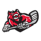 Huntsville Havoc アイコン