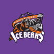 Knoxville Ice Bears